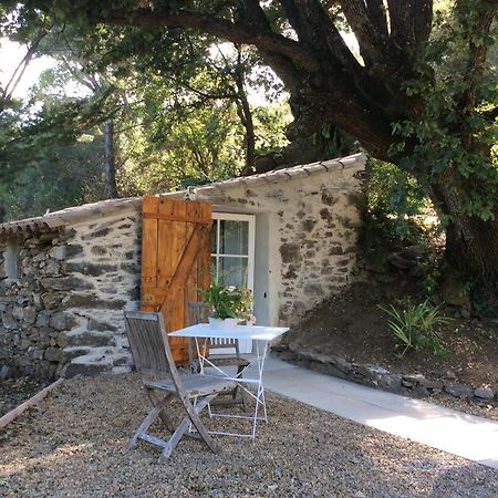 La Petite Bergerie, Les Hautes Roches Collobrières Exteriör bild