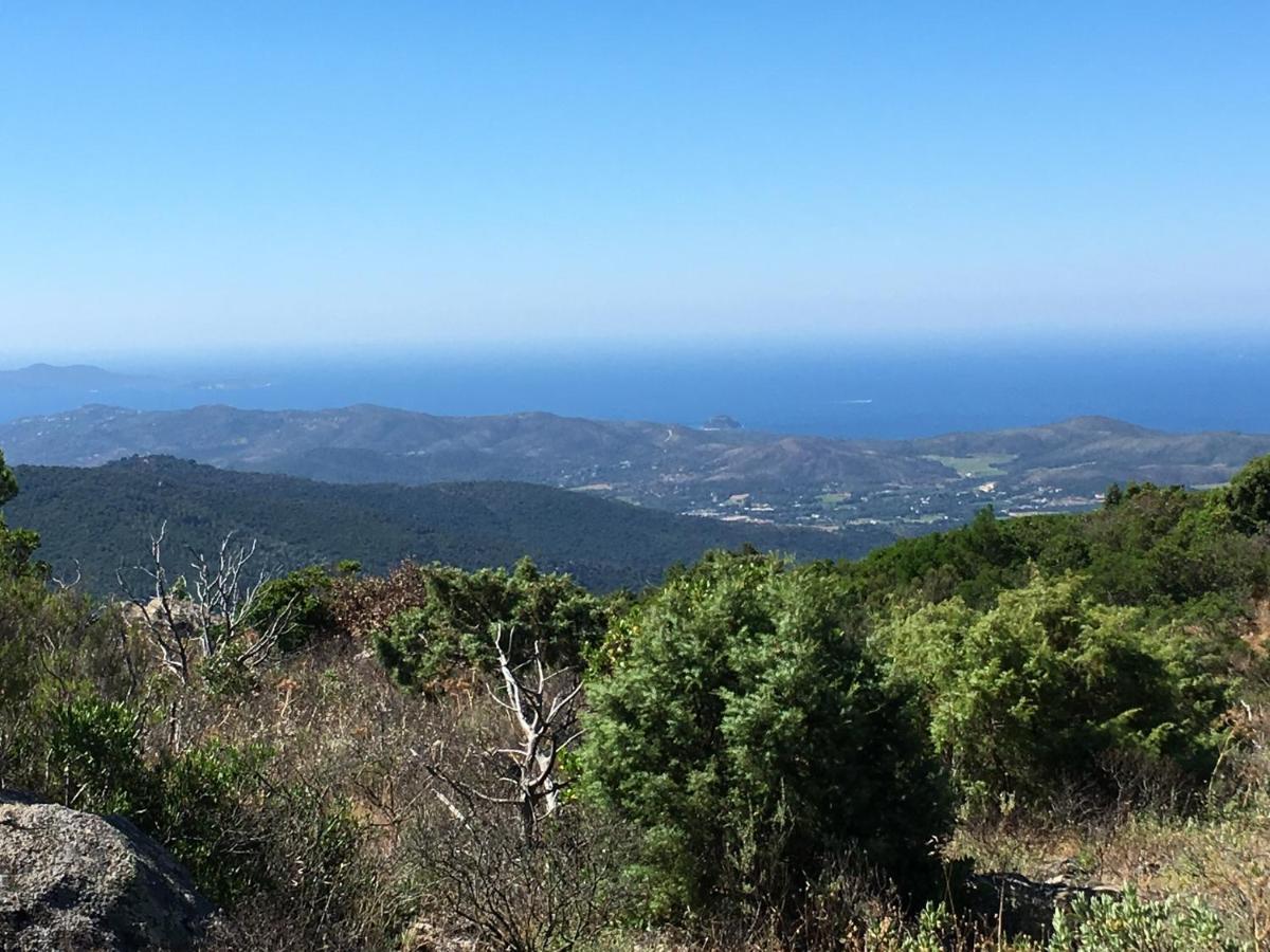 La Petite Bergerie, Les Hautes Roches Collobrières Exteriör bild