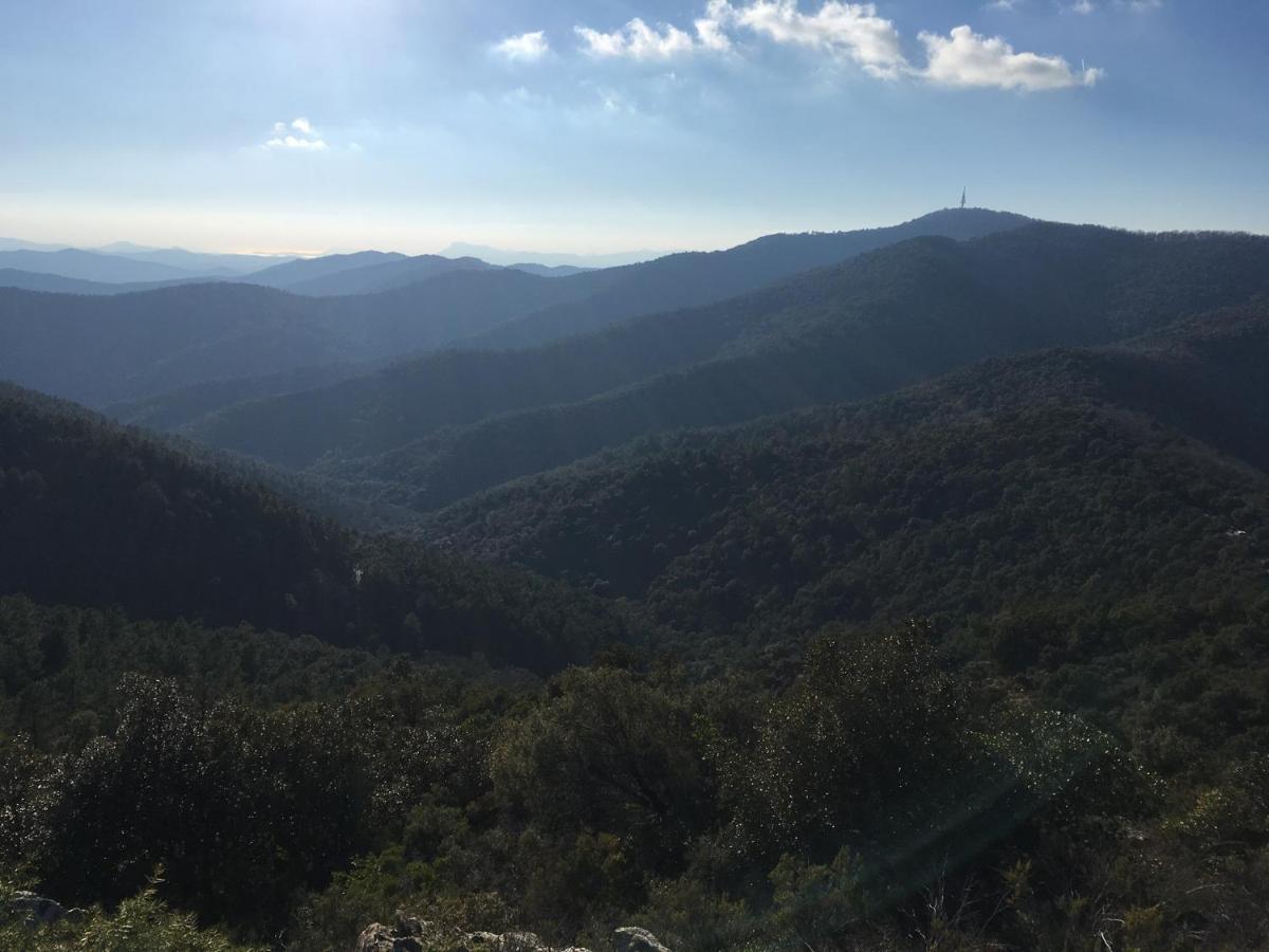 La Petite Bergerie, Les Hautes Roches Collobrières Exteriör bild